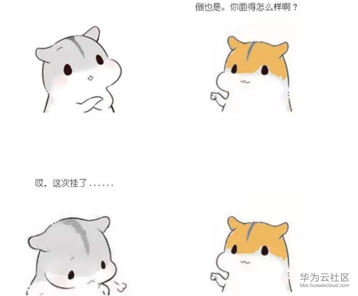 1573205485408933.png