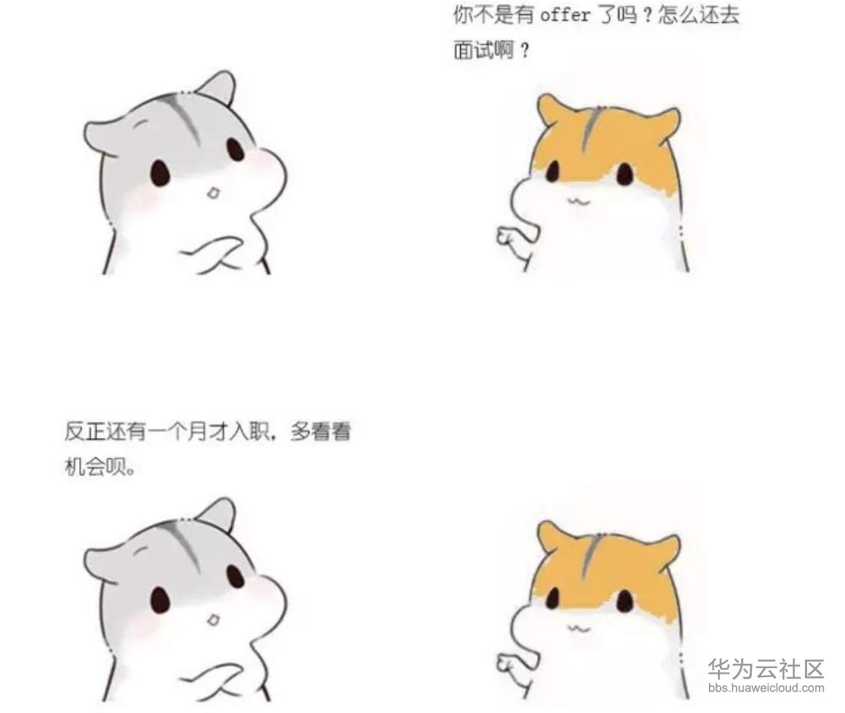 1573205486857175.png