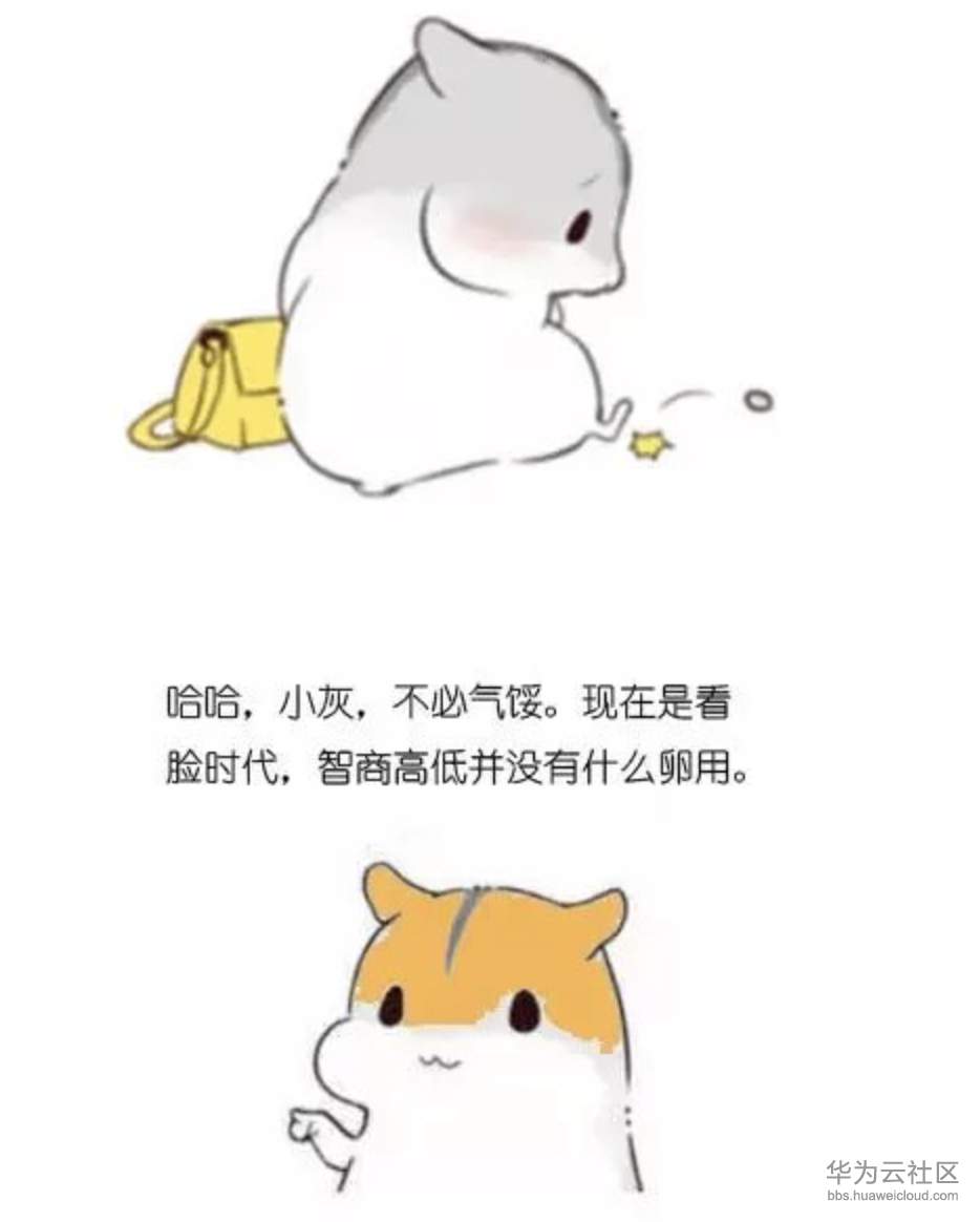 1573354305667502.png