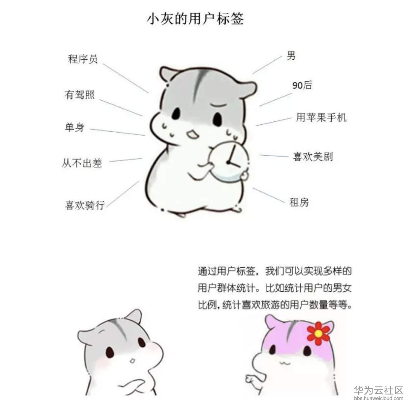 屏幕快照 2019-11-10 下午3.54.06.png