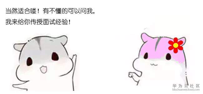 1572010561746537.jpg 3.jpg