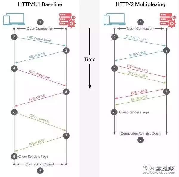 10.webp.jpg