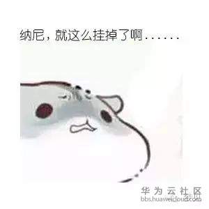 1571904296802264.jpg 18.jpg