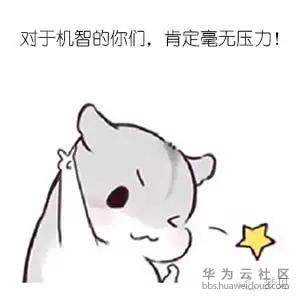 1571904791670449.jpg 26.jpg