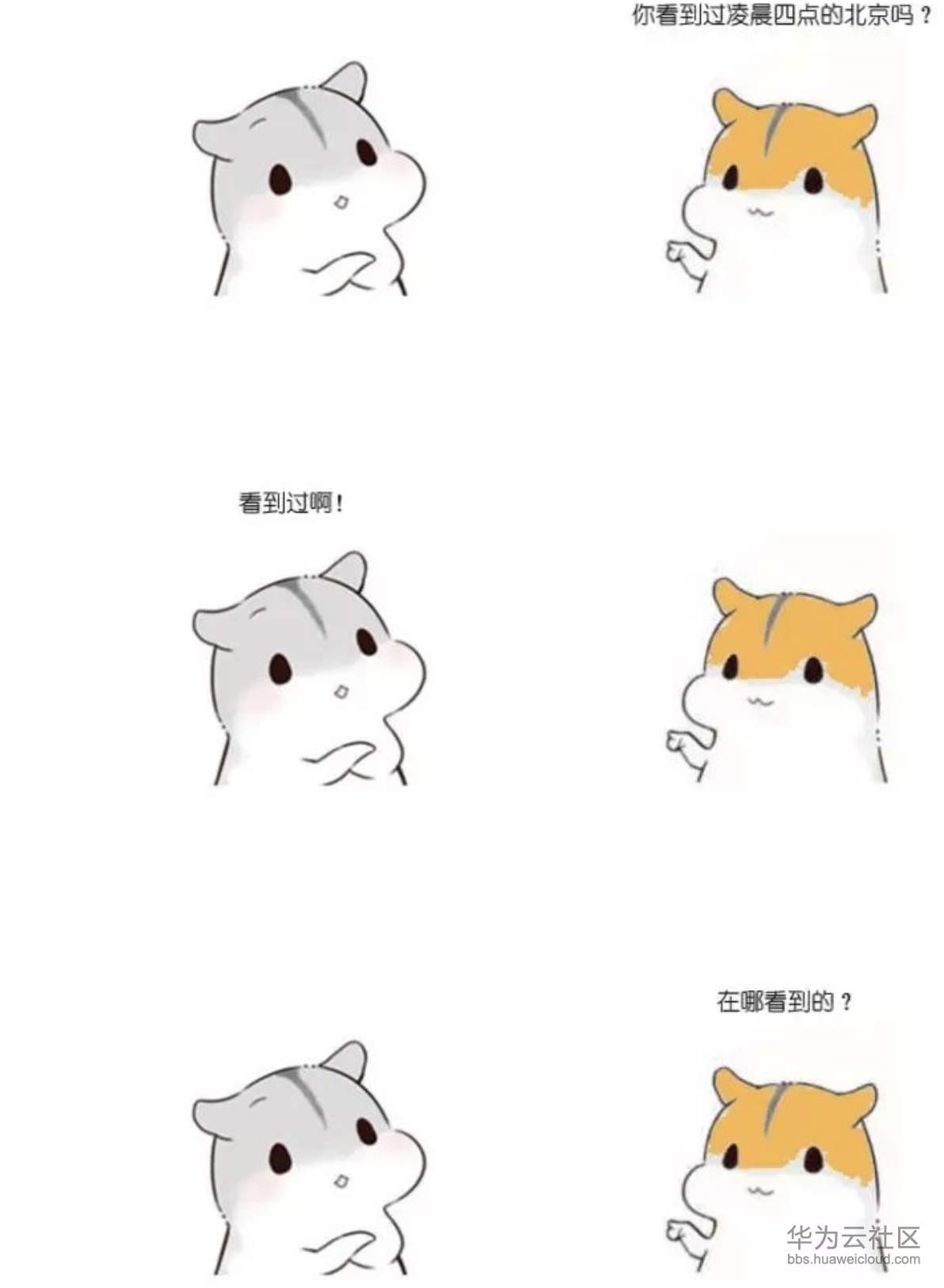 1573355569702800.png 1573355569702800.png