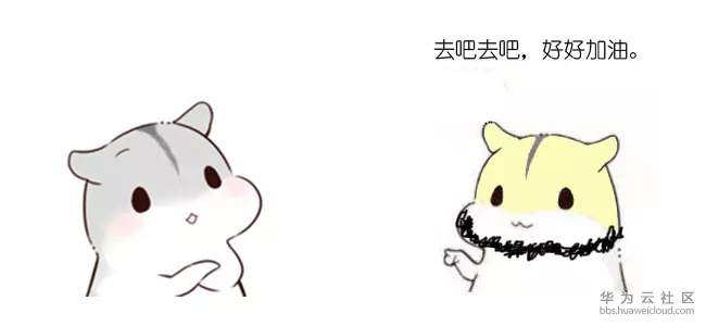 1572107357160454.jpg 2.webp.jpg