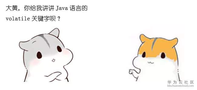 1572107577911729.jpg 15.webp.jpg