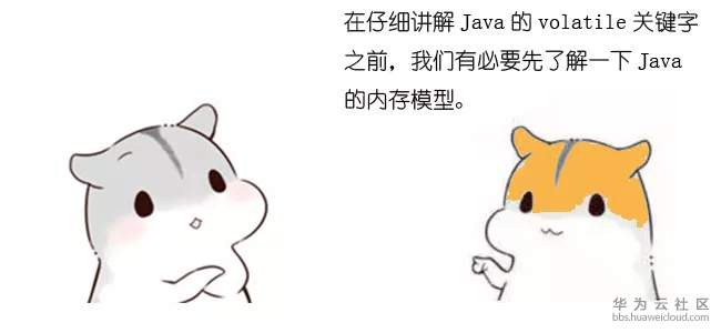 1572107588510649.jpg 17.webp.jpg
