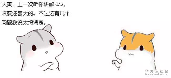 1572115078117003.jpg 1.webp.jpg