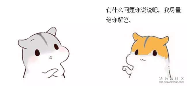 1572115083995193.jpg 2.webp.jpg