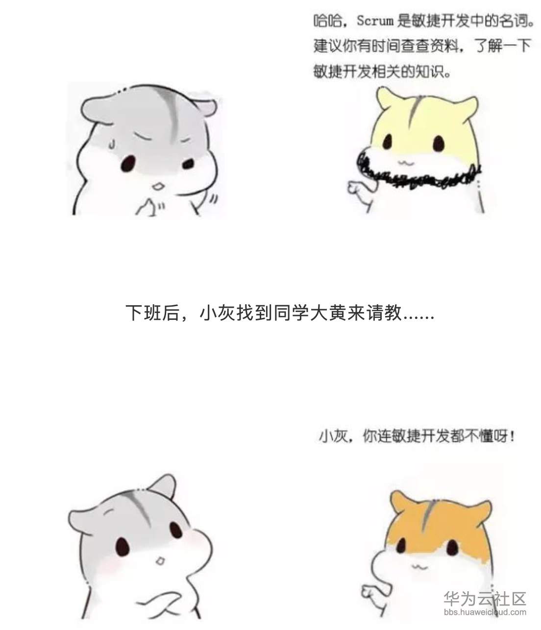 1573356309844563.png