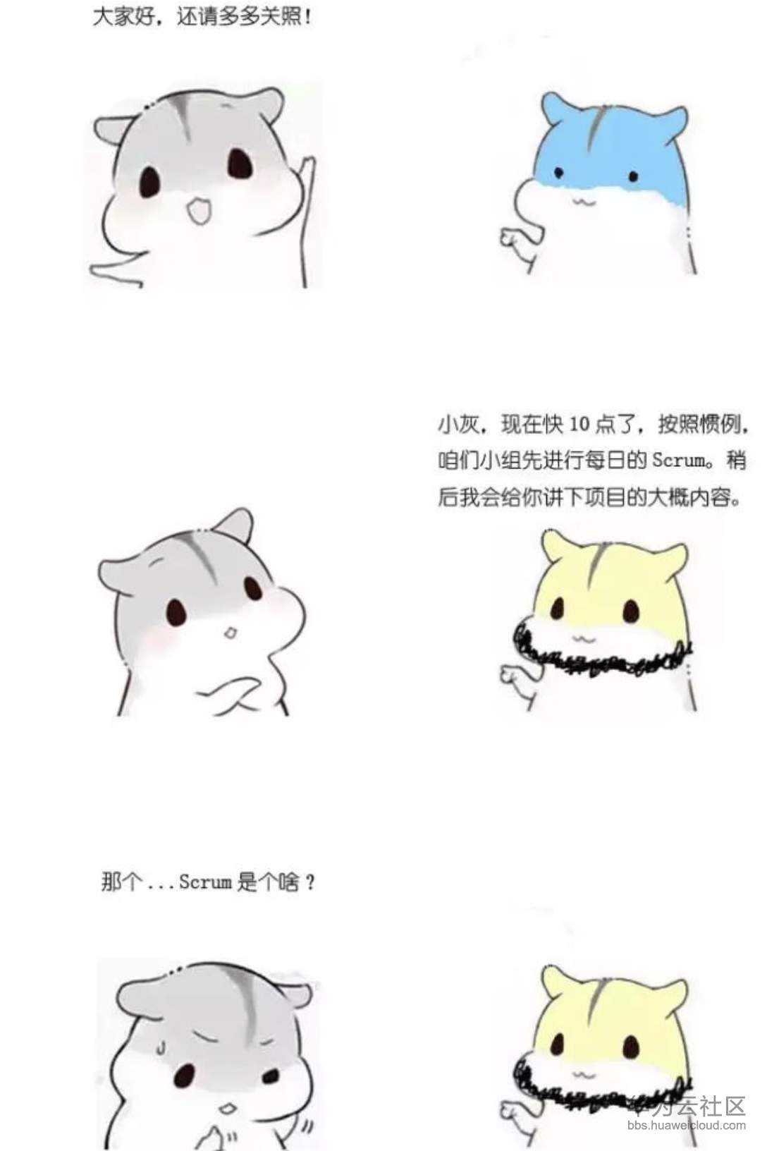 1573356297239825.png