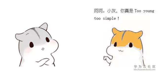 1571910998806426.jpg 19.jpg
