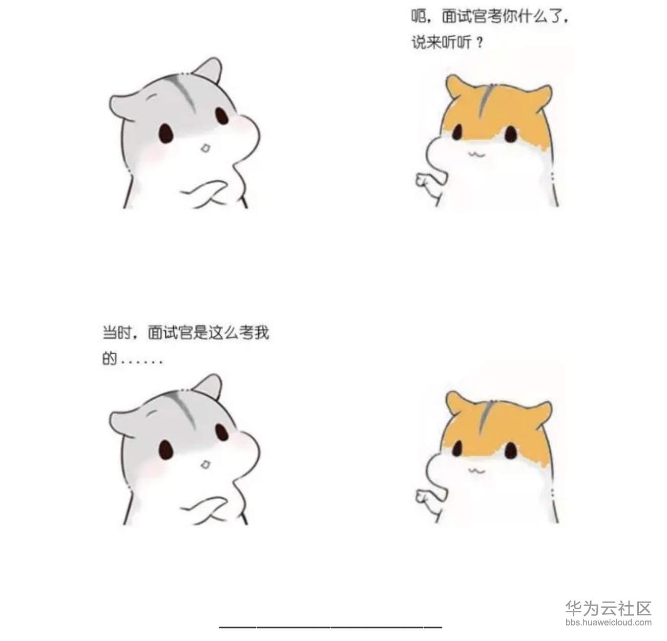 1573358544737558.png