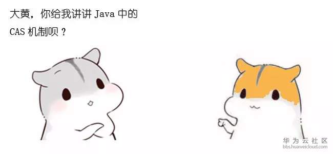 13.webp.jpg
