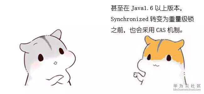32.webp.jpg