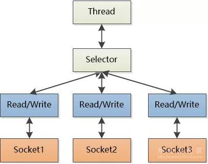 4.webp.jpg