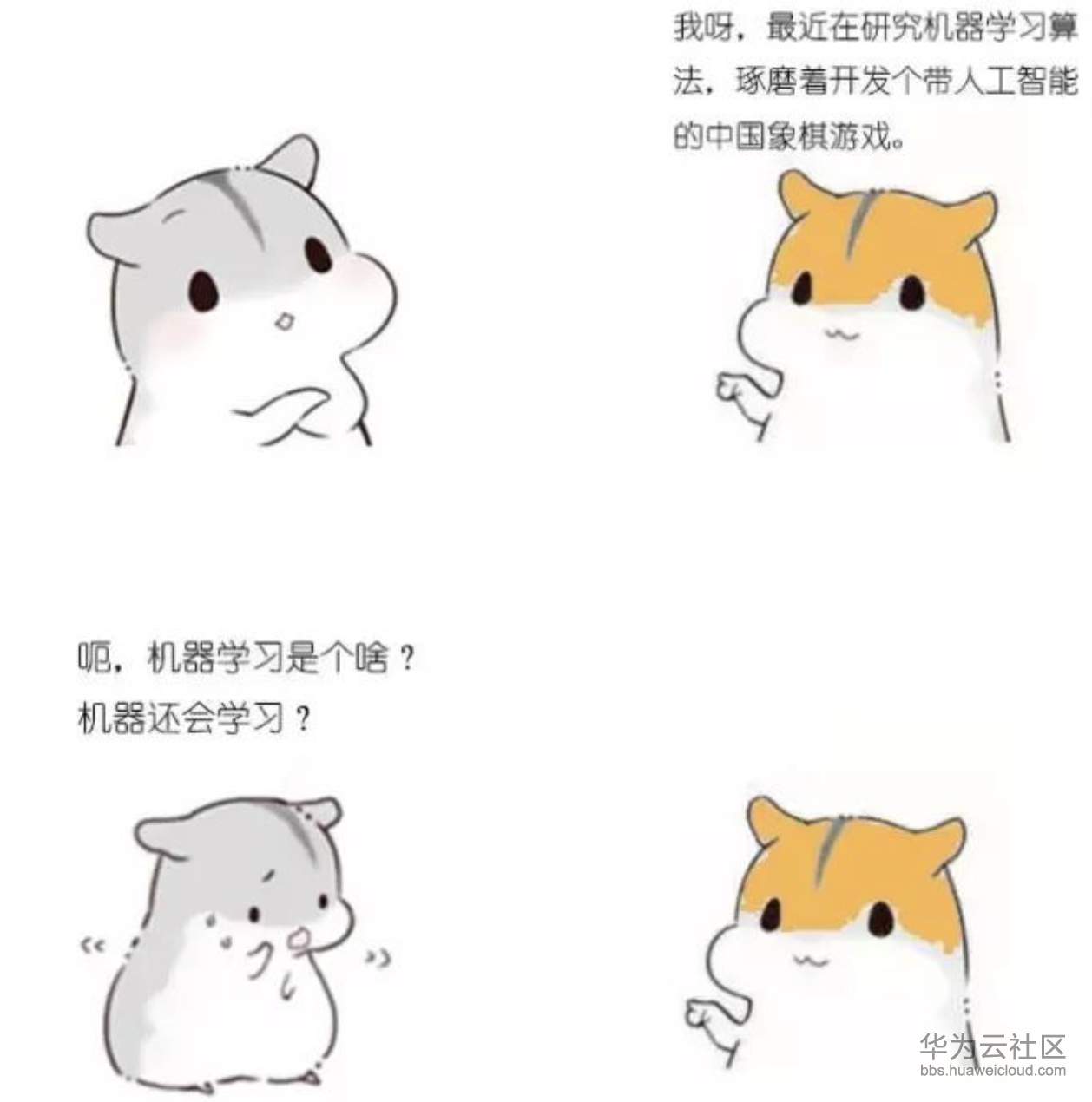 1573206298111591.png