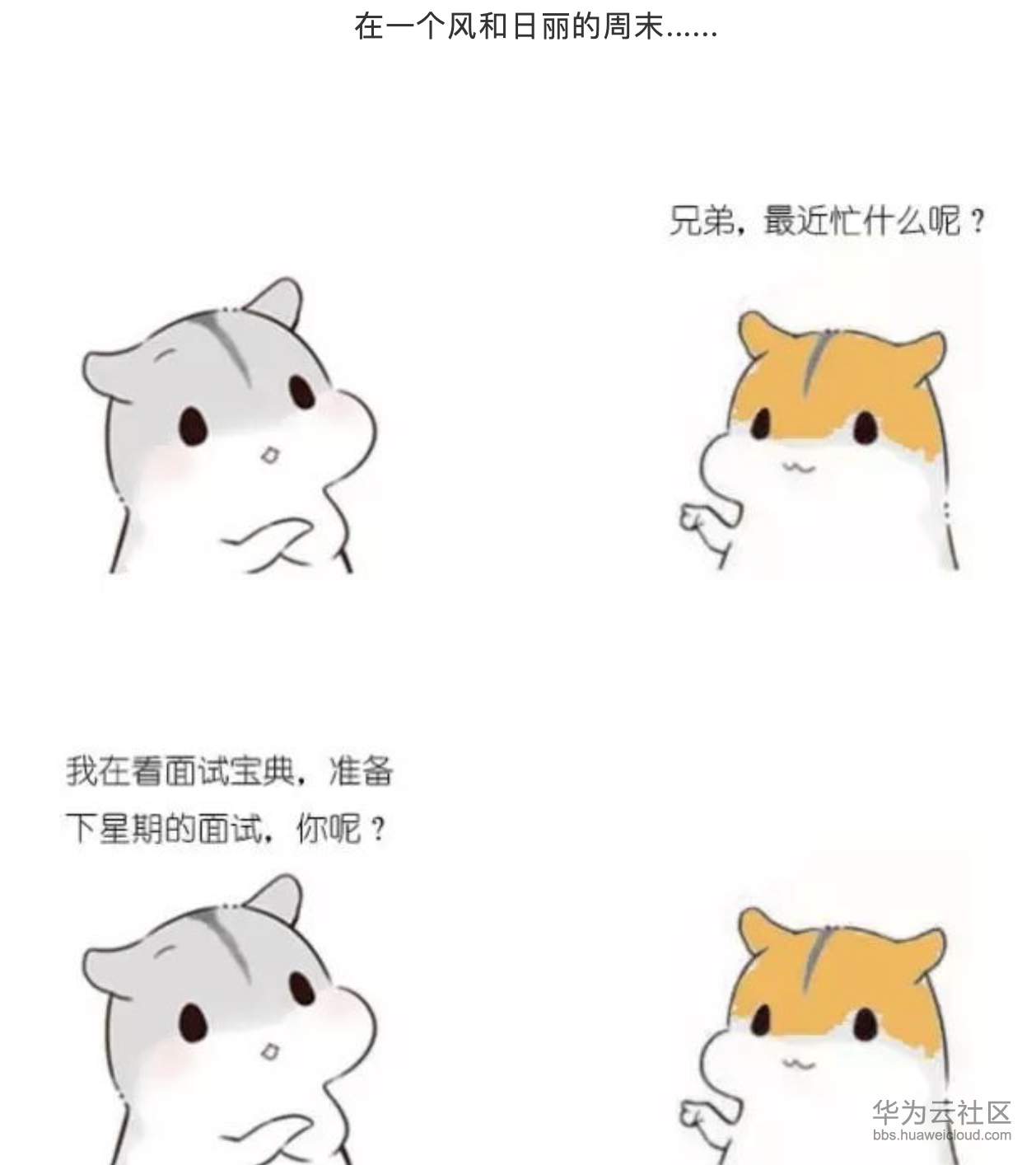 1573206298150552.png