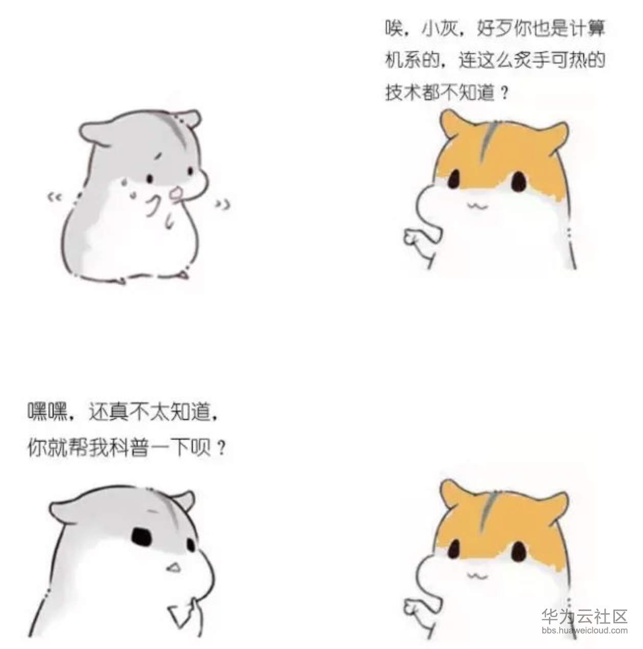 1573206298802443.png
