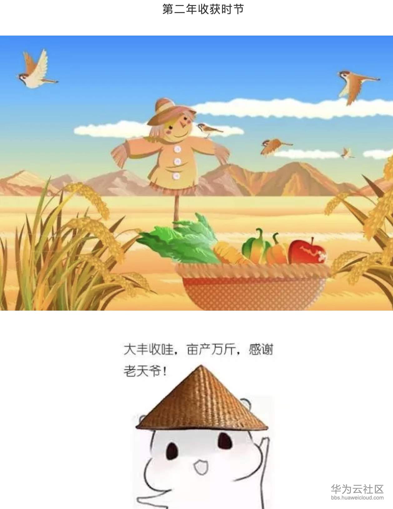 1573206343291365.png