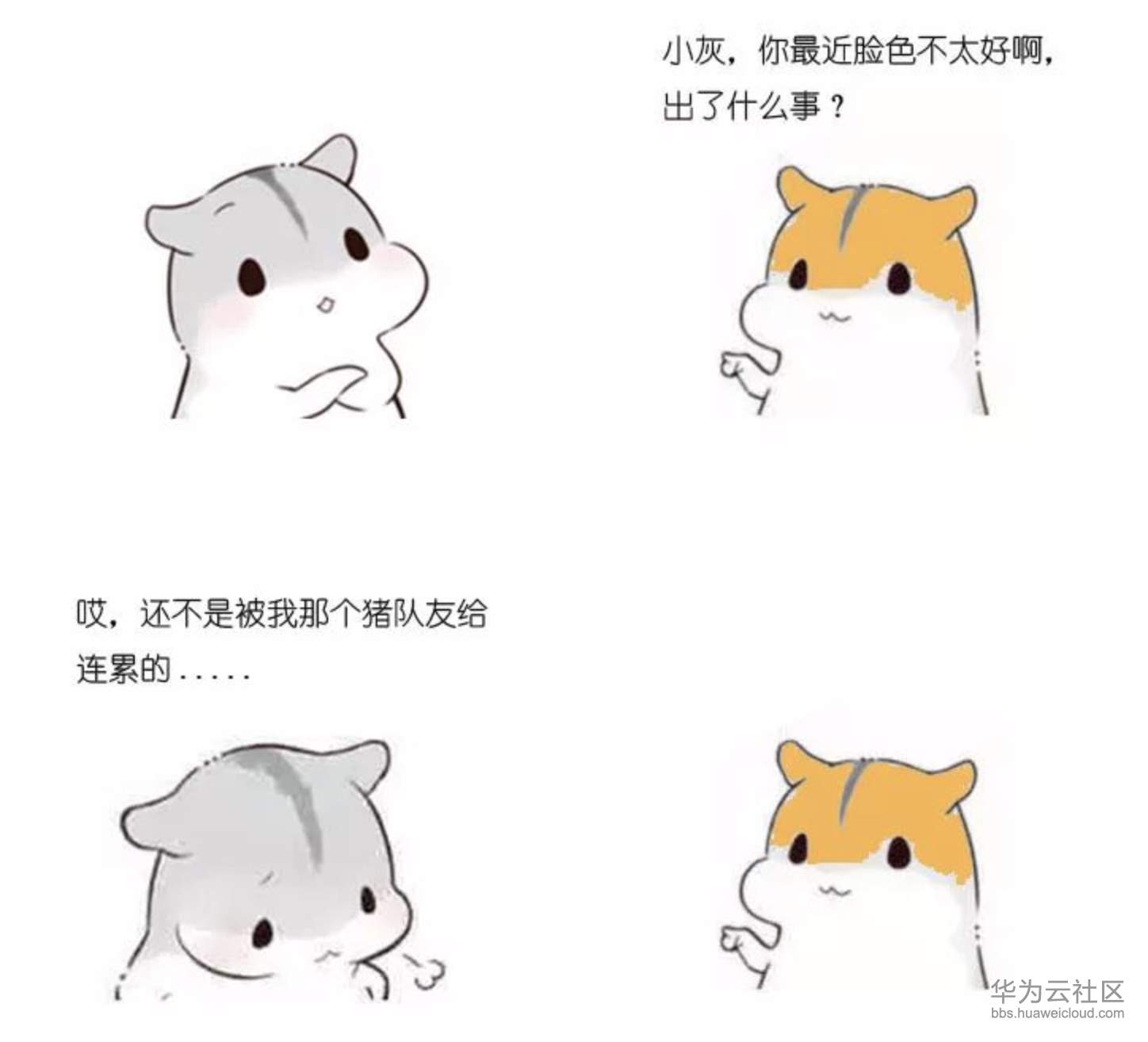 1573031855713134.png