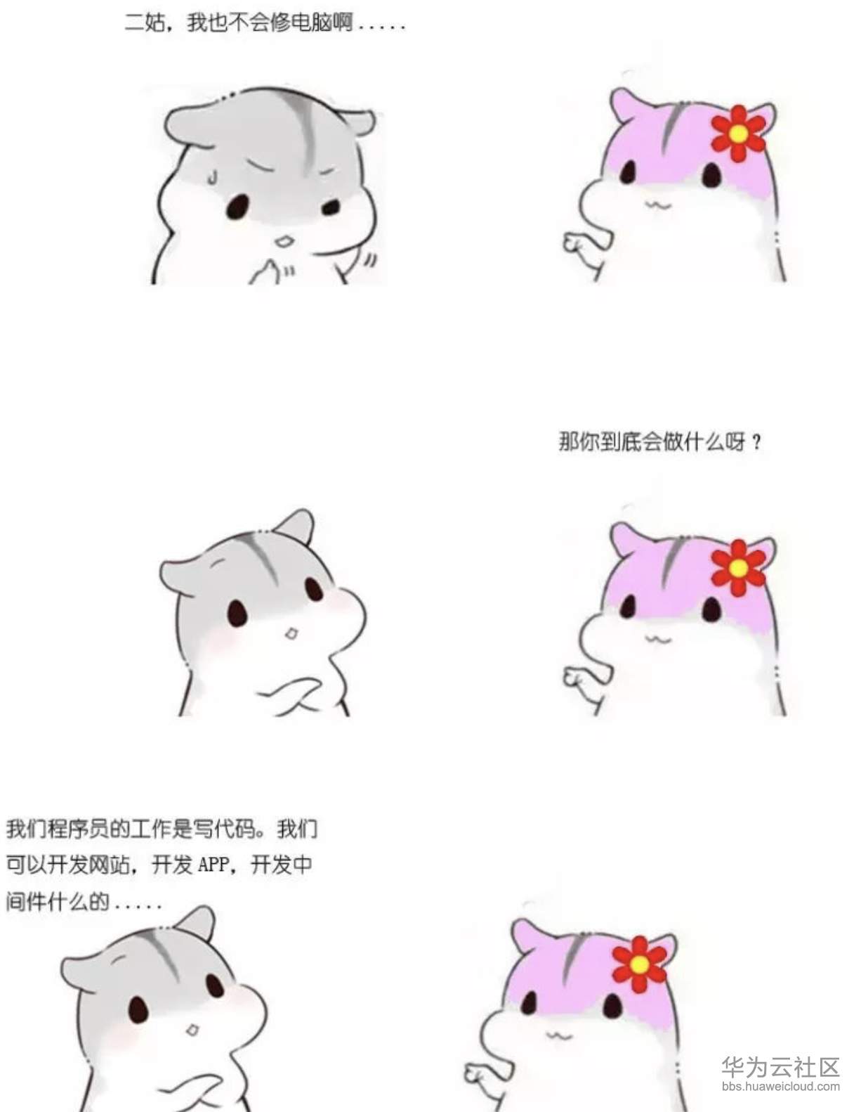 1573209980282435.png