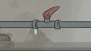 1572112826456403.gif 1.gif