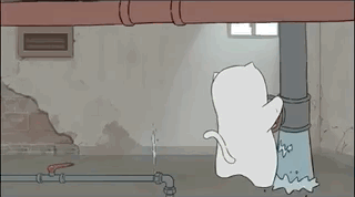 1572112842260742.gif 3.gif