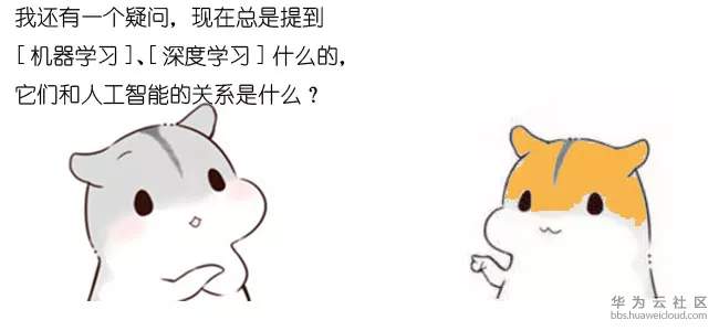 1572116220377508.jpg 16.webp.jpg