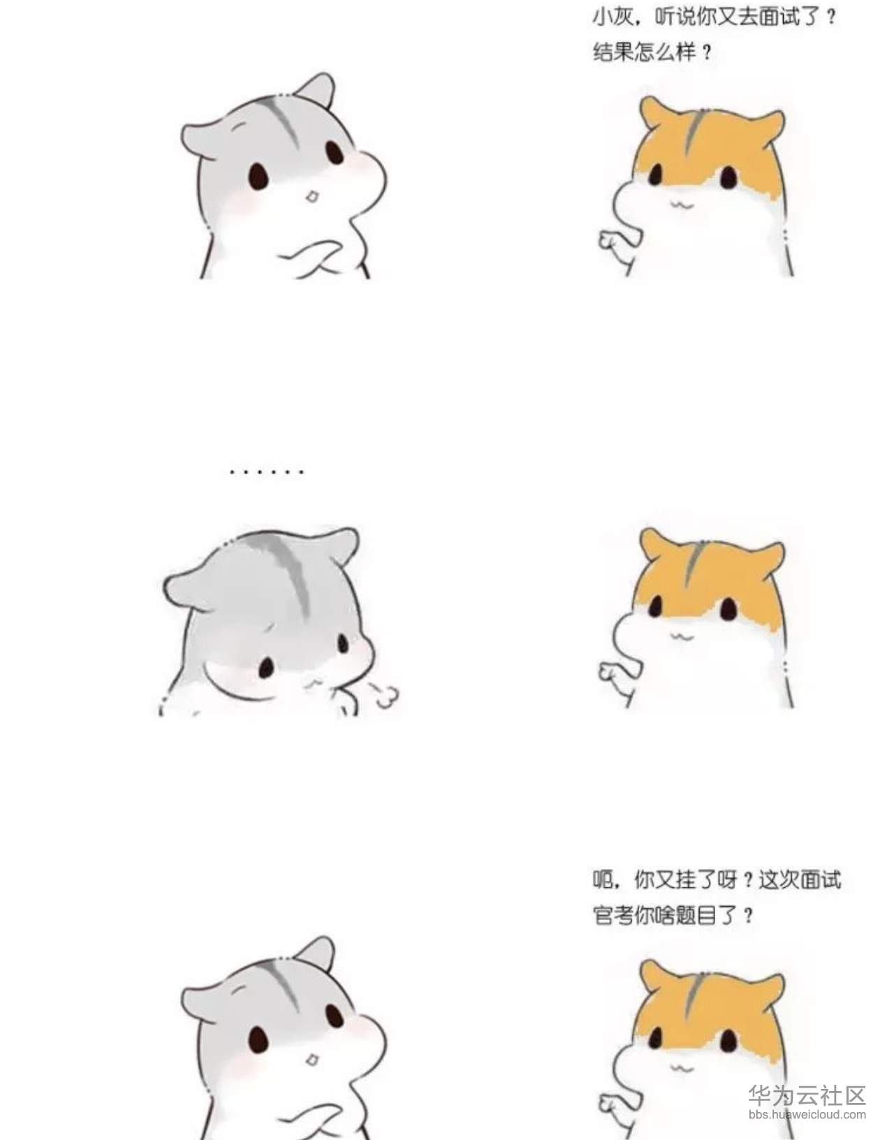 1573208100884700.png