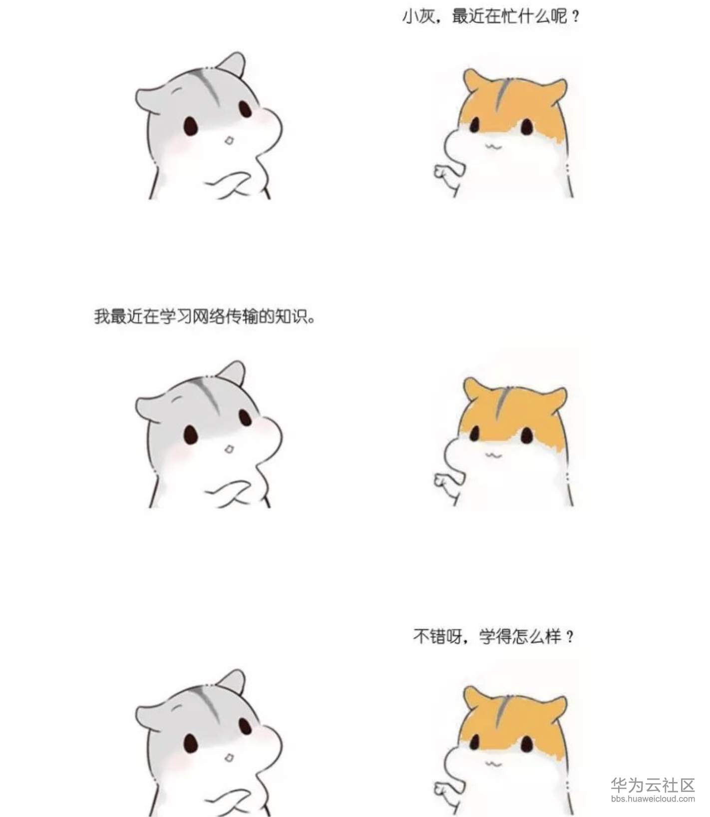 屏幕快照 2019-11-10 下午5.26.35.png