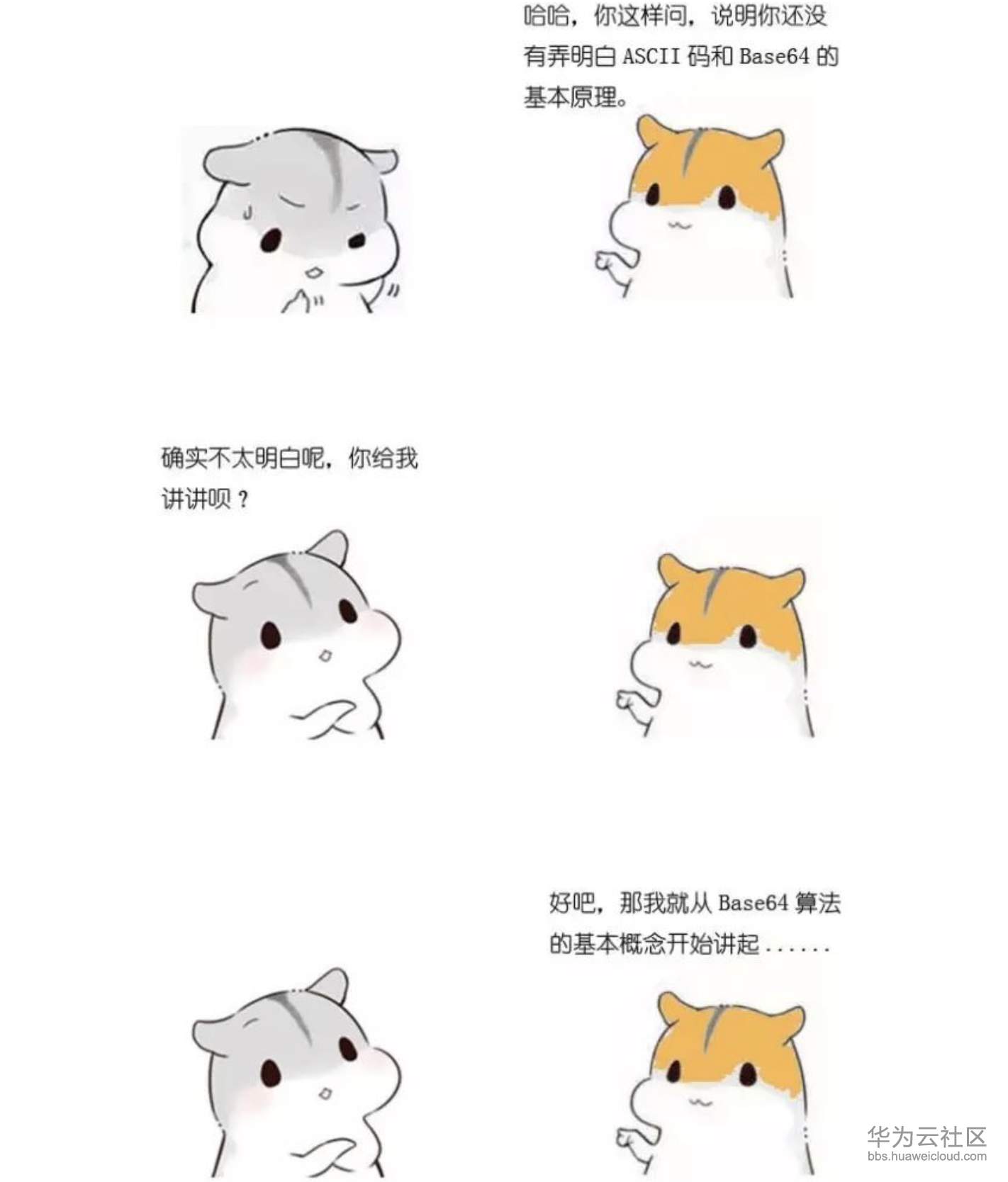 屏幕快照 2019-11-10 下午5.26.50.png