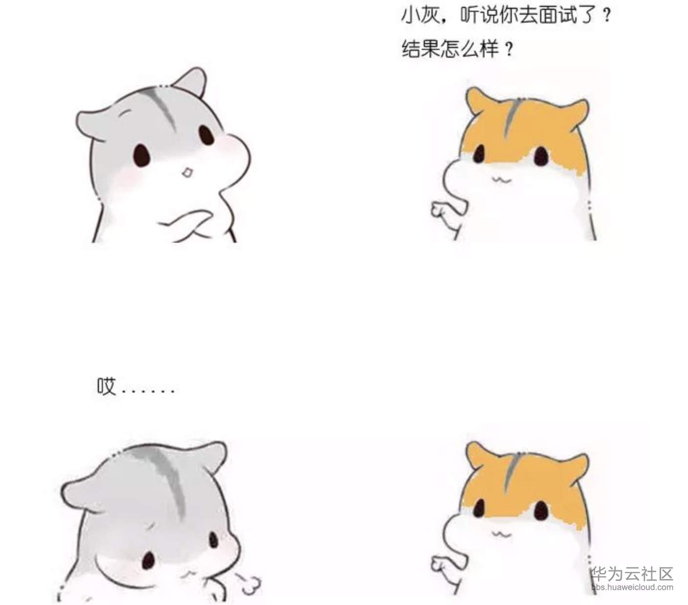 1573033020970749.png 1573033020970749.png