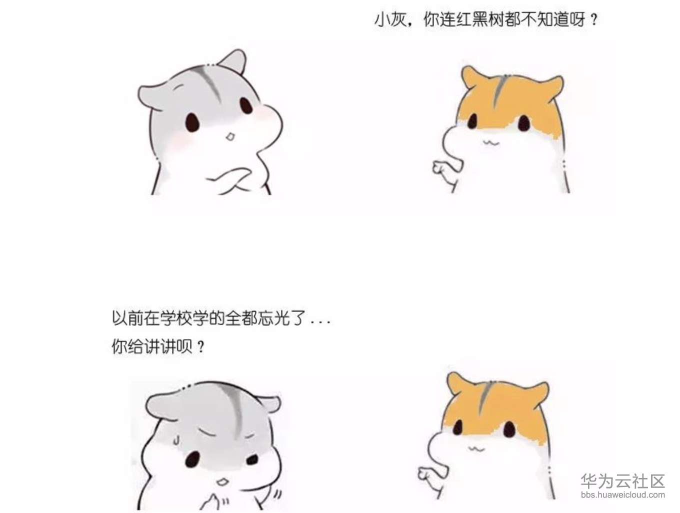 1573202204824030.png