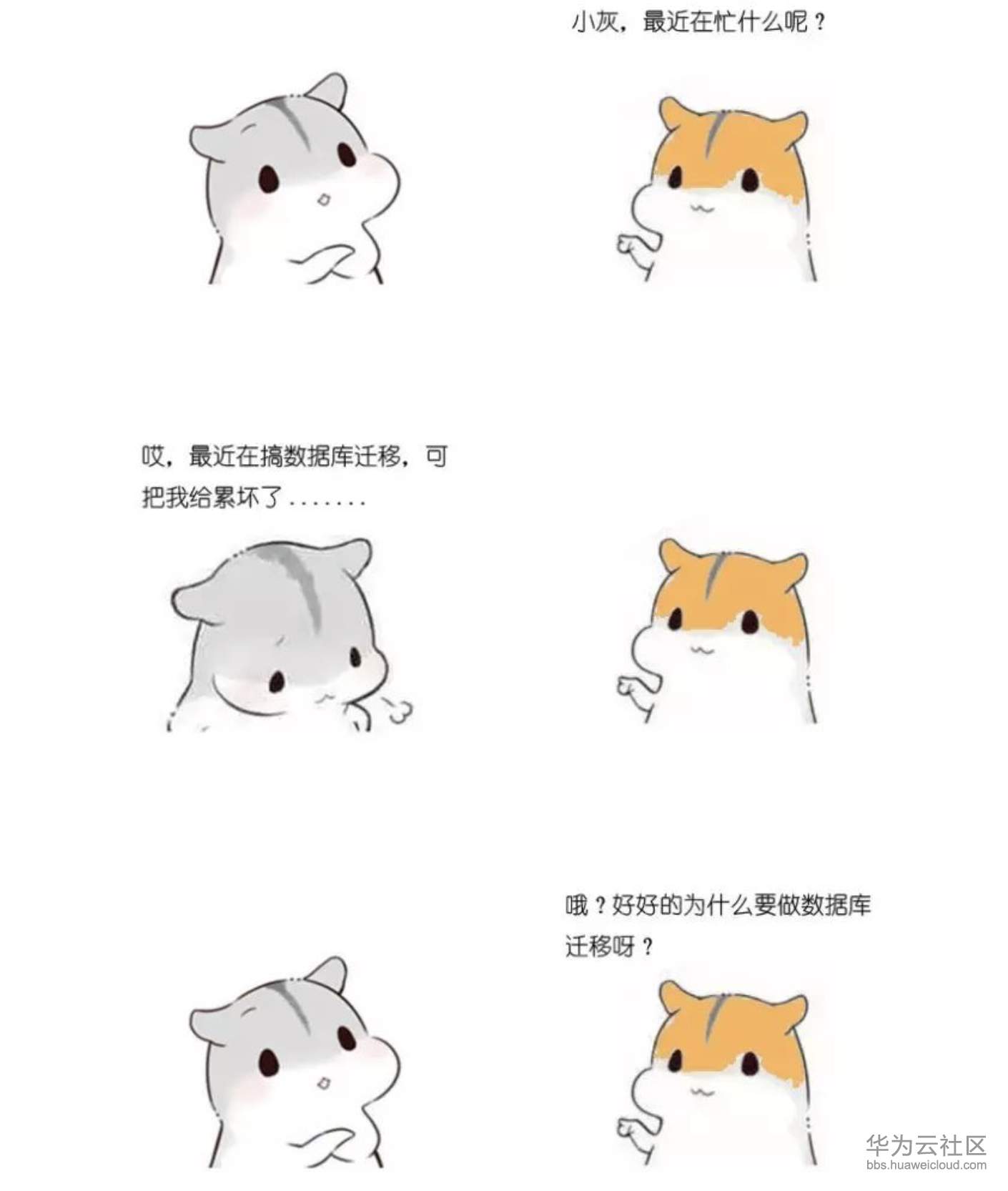 1573371952723710.png 屏幕快照 2019-11-10 下午3.38.48.png