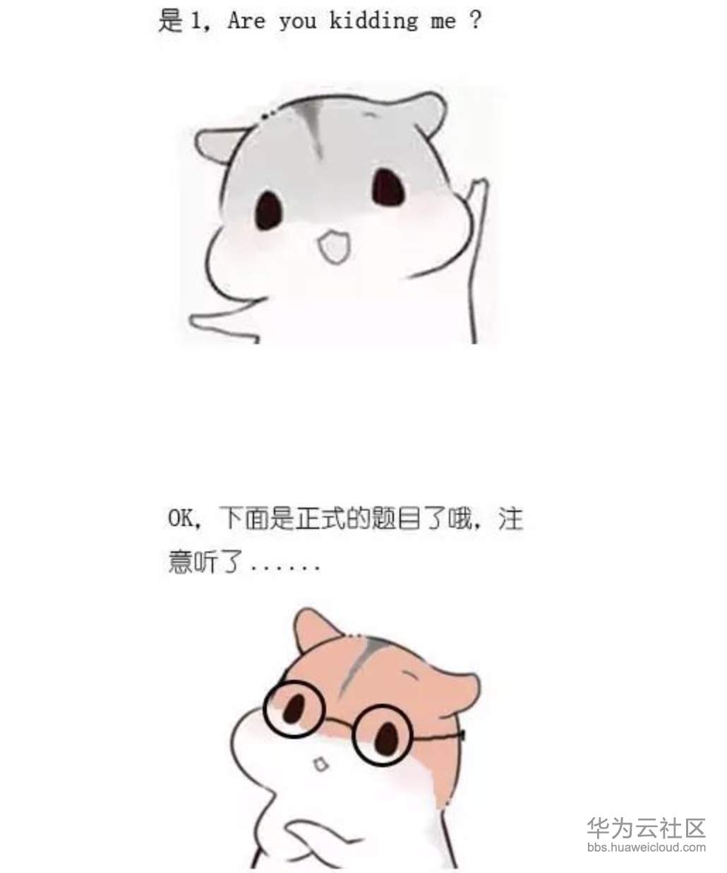 1573209443263205.png