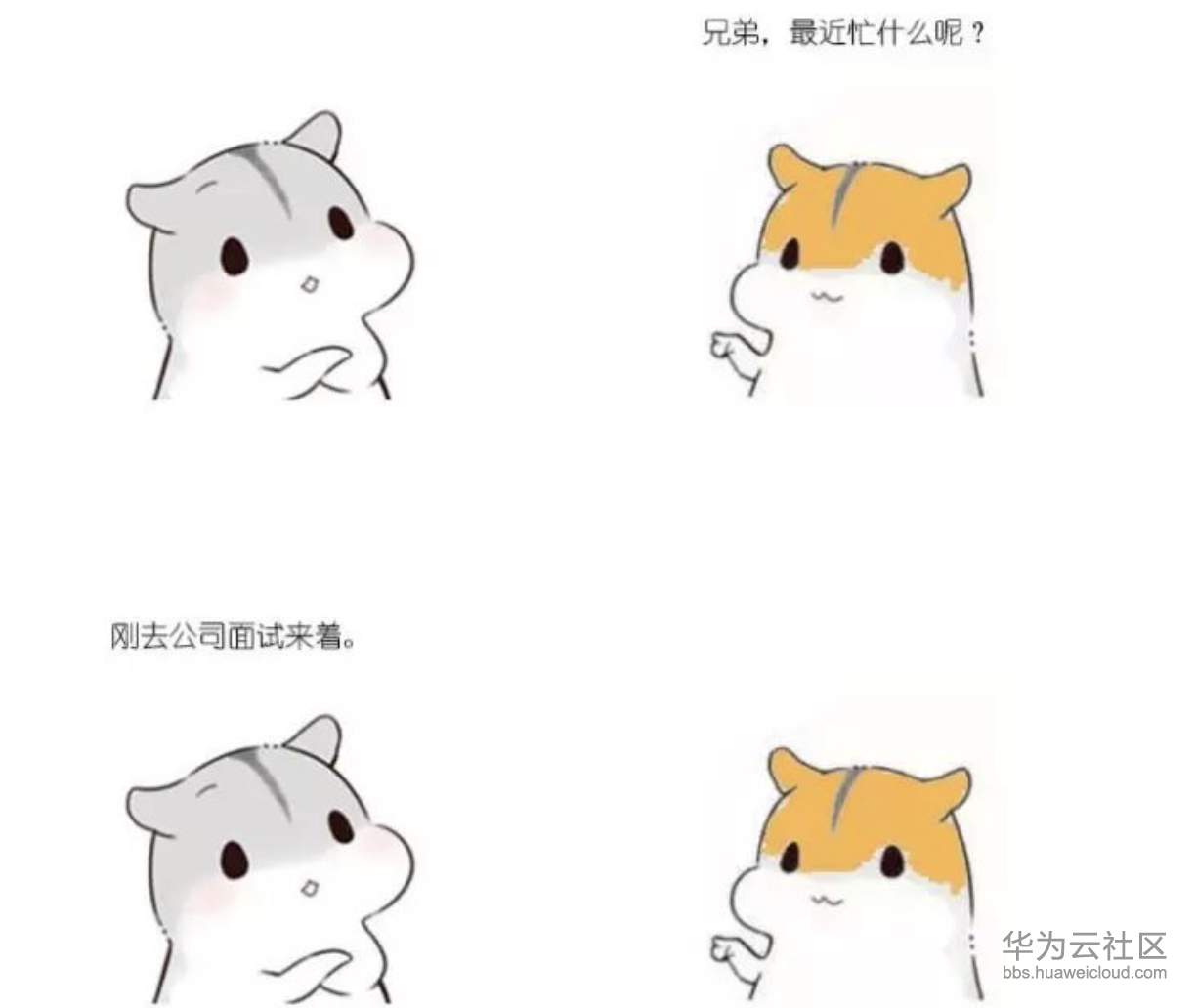 1573205486172832.png