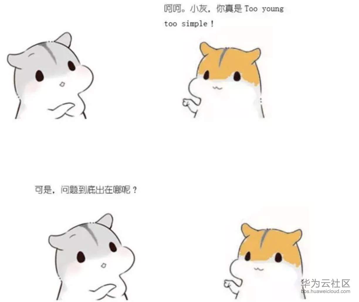 1573205580553814.png