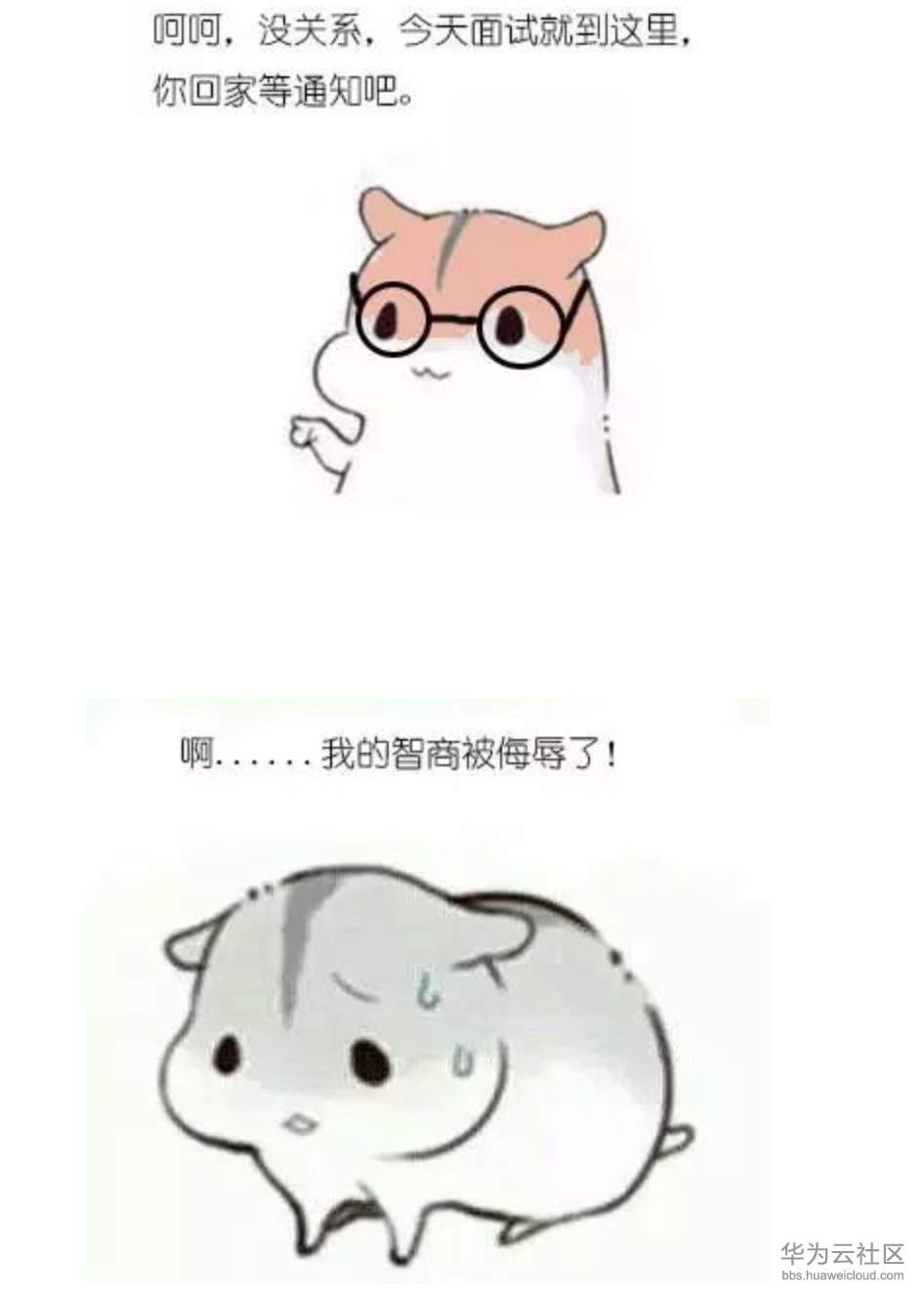 1573205943193991.png