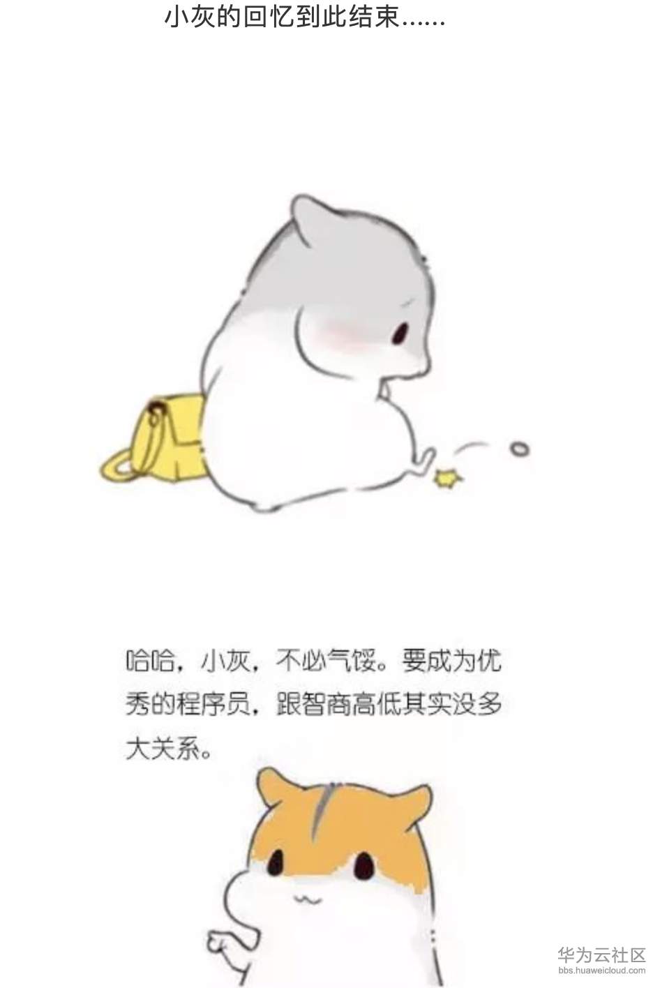 1573205944398026.png