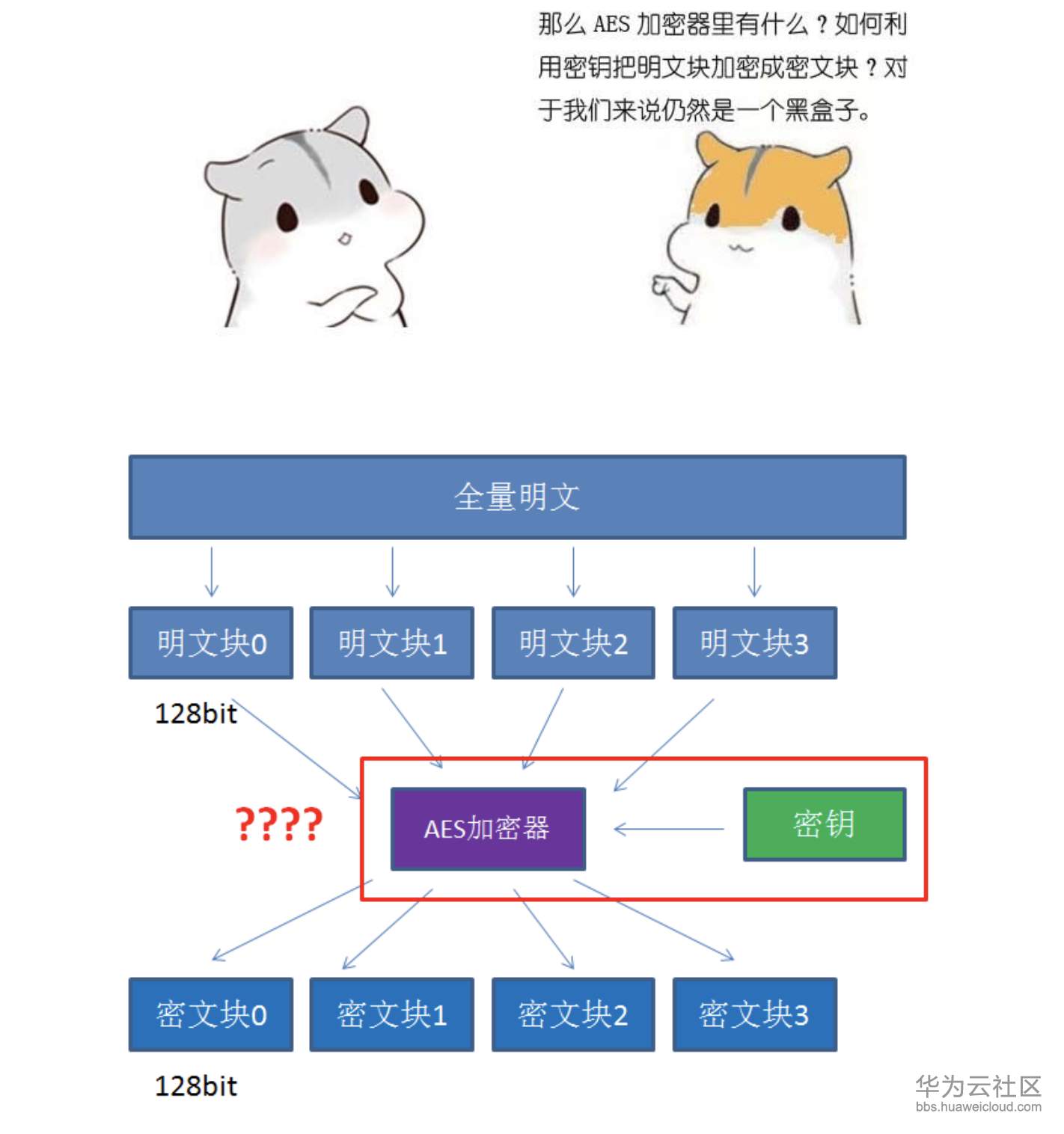 屏幕快照 2019-11-10 下午6.02.28.png