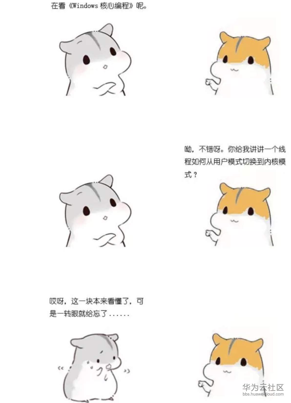 1573355502487116.png