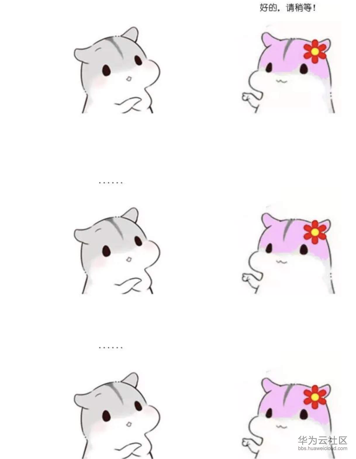 1573356341618205.png 1573356341618205.png