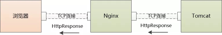 4.webp.jpg