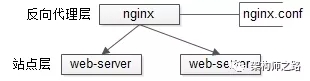 3.webp.jpg