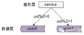 6.webp.jpg