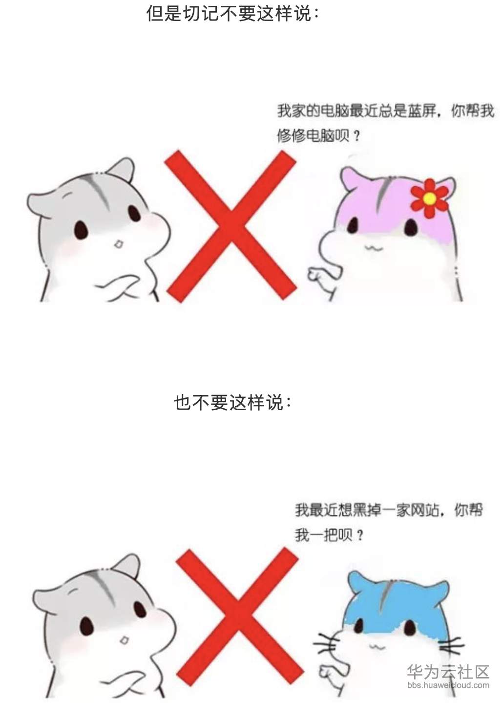 1573210092694928.png