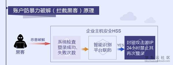 1541760151692609.jpg 99.jpg