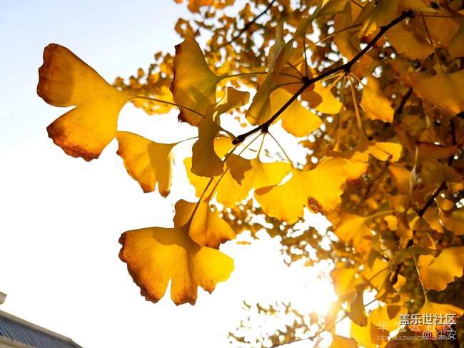 1534731532383993.png image.png